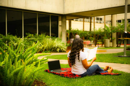 work on the lawn outdoors